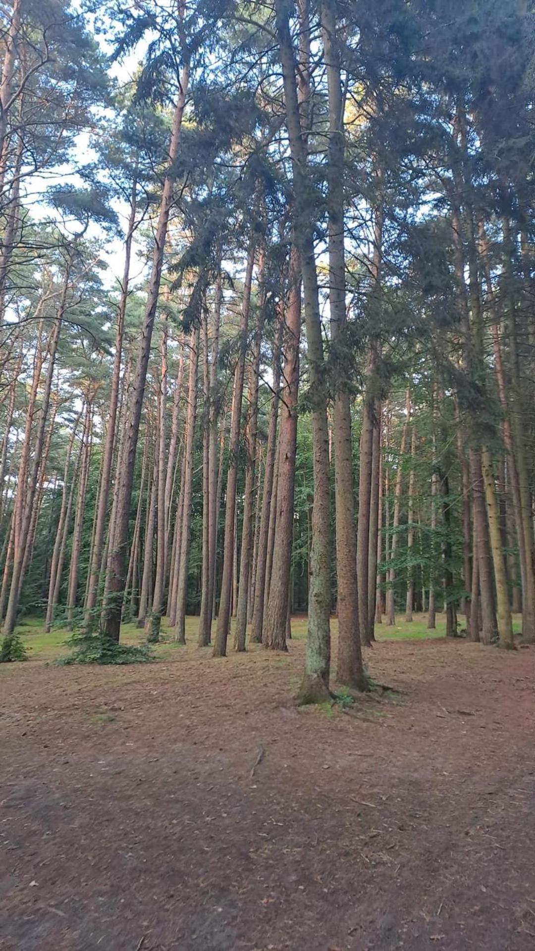 Pobierowo Baltic Apartaments D5 Екстер'єр фото