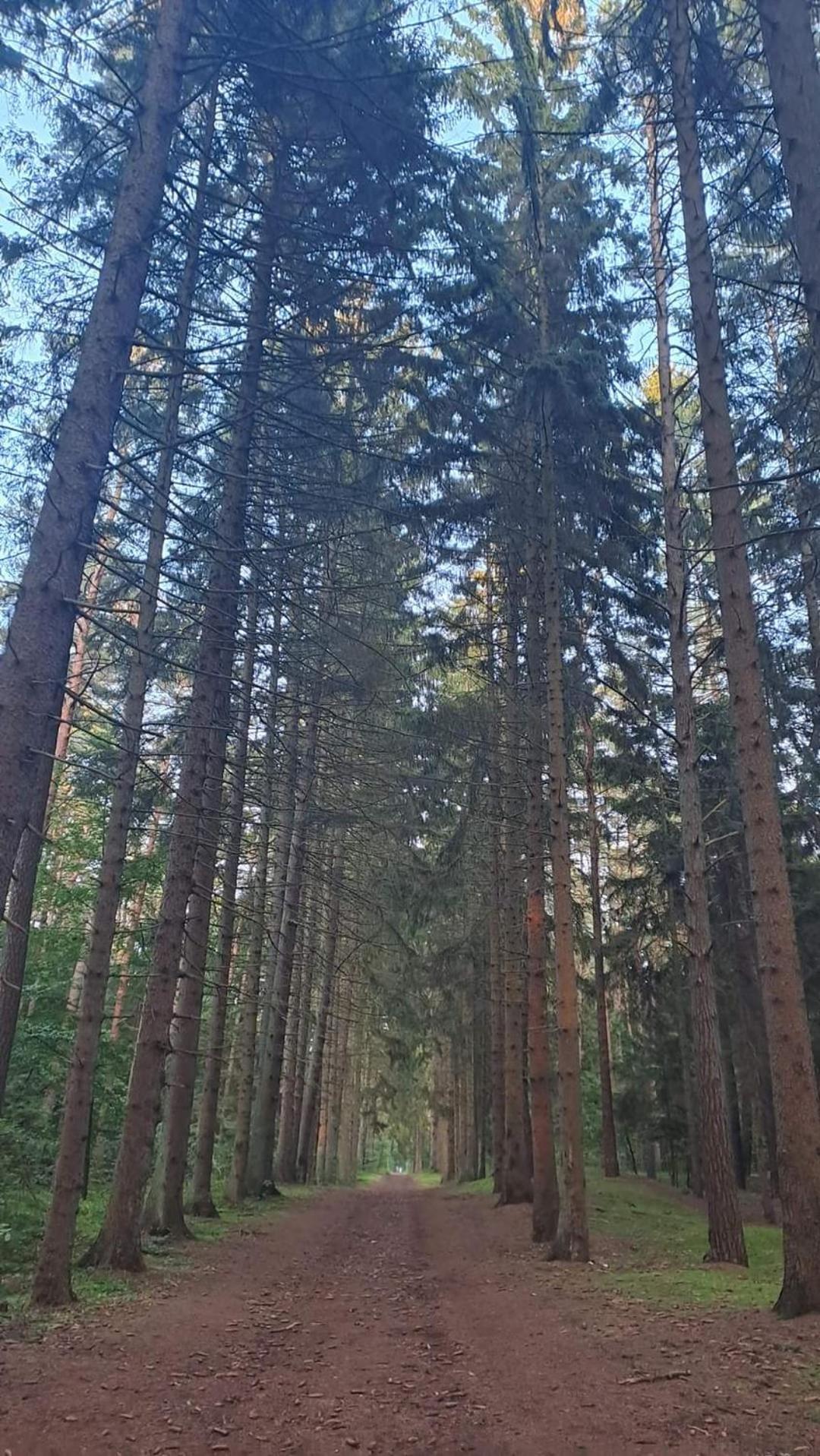 Pobierowo Baltic Apartaments D5 Екстер'єр фото